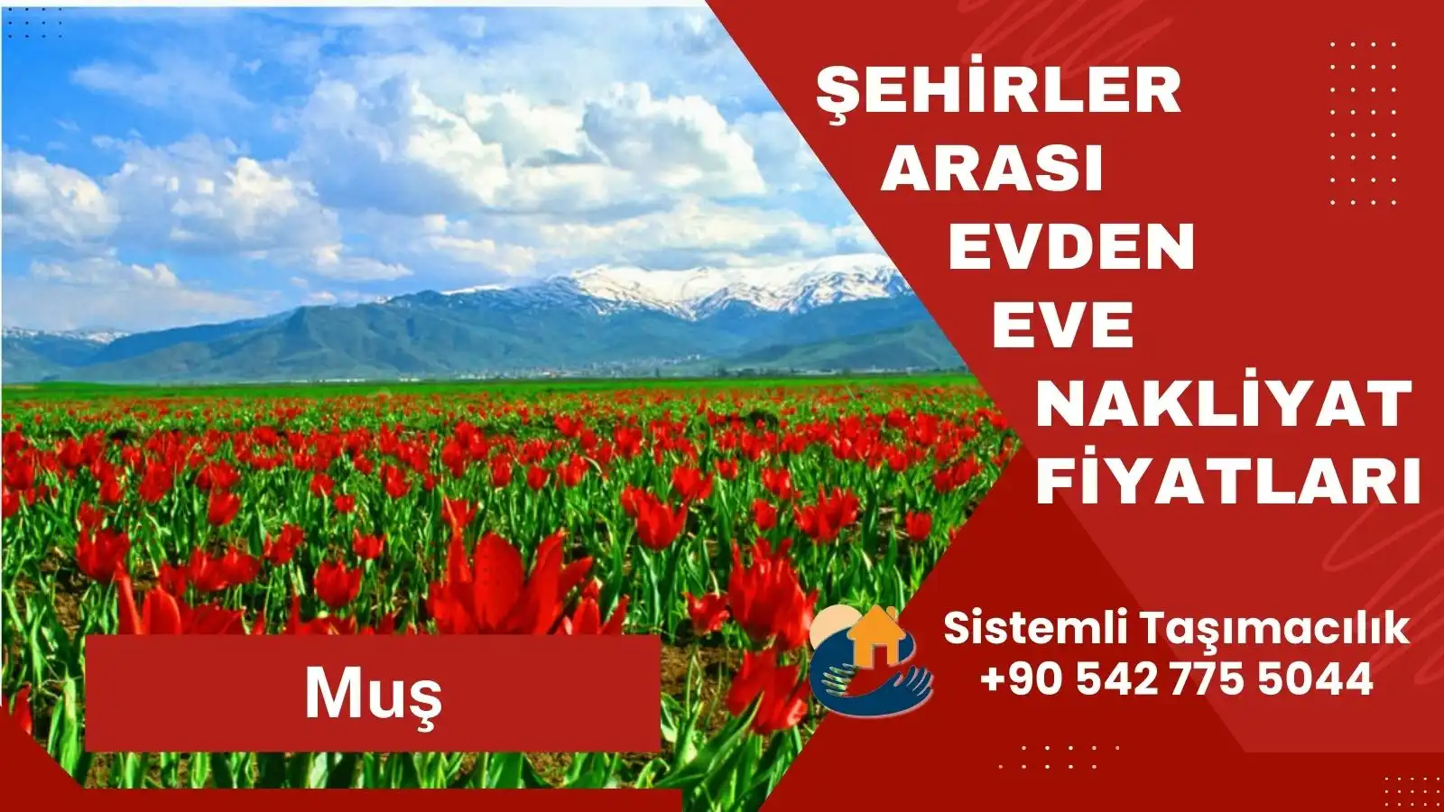 Muş Tekirdağ şehirler arası evden eve nakliyat hizmeti